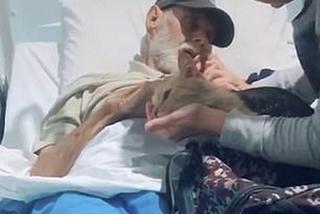 Kot pożegnał pana na łożu śmierci 