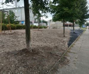 Park kieszonkowy w Siedlcach
