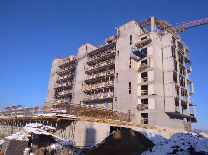 Pierwsze mieszkanie: Jak wybrać, na jakim etapie i gdzie kupić?