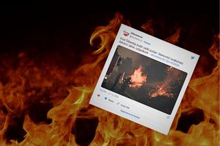 Pożar w Chorwacji! Znany kurort w Dalmacji poważnie zagrożony