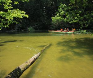   Mazurski Park Krajobrazowy