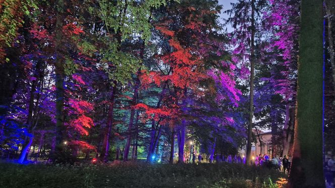 Olsztyn zamienił się w magiczną krainę. Park Świateł przyciągnął tłumy!