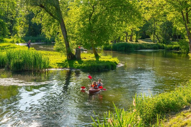 Dlaczego Konstancin-Jeziorna to dobre miejsce do życia? Zobacz opis.