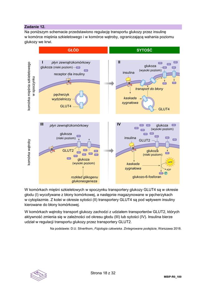 Matura 2025 biologia rozszerzona: ODPOWIEDZI do wszystkich zadań, gotowe rozwiązania matury z biologii rozszerzonej [9.05.2025]	