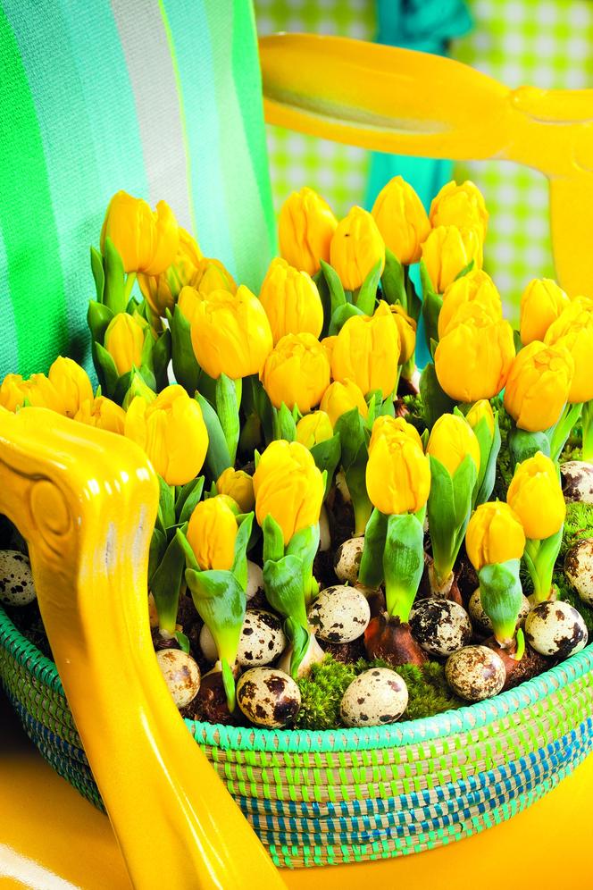 Wielkanocne dekoracje - tulipanowe gniazdko