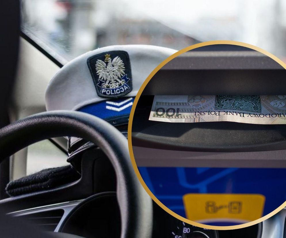 Skruszony złodziej sam zgłosił się na policję. Wystarczyło pokazać, jak wygląda