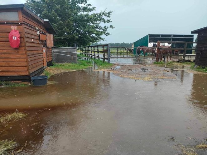 Przystań Ocalenie w Ćwiklicach zalana po ulewnych deszczach. Potrzebna pomoc