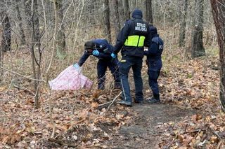 Podejrzana torba przy drodze w Warszawie. Na miejsce wezwano policję