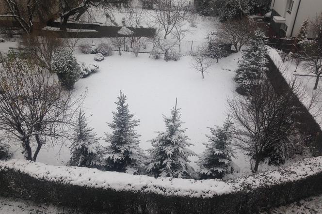 W Rzeszowie spadł pierwszy śnieg
