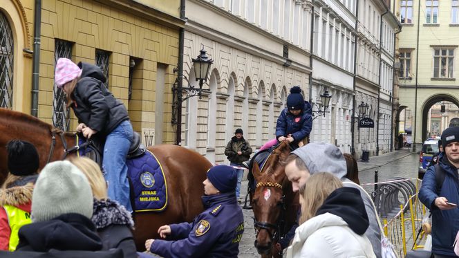 Wrocław gra z WOŚP 2025. „Ta akcja nas wszystkich jednoczy” [ZDJĘCIA]