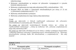 Matura 2019 z biologii [ARKUSZE CKE, ODPOWIEDZI]