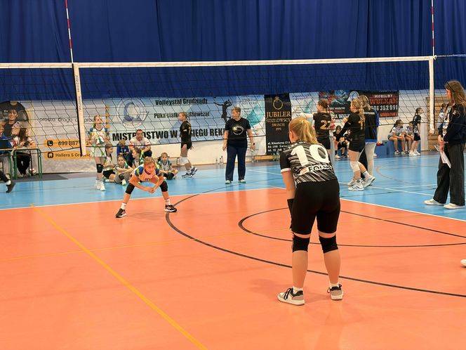 Siatkarski turniej z okazji Święta Niepodległości w Grudziądzu