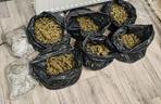 Mocne uderzenie w narkobiznes w Sosnowcu. Przejęto ponad 9 kg narkotyków