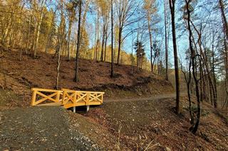 Zapomniane uzdrowisko w Małopolsce. Magiczne miejsce w Dolinie Popradu 