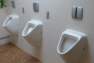 Dyrektorzy toruńskich szkół będą sprzątać toalety. To mi nie ujmuje