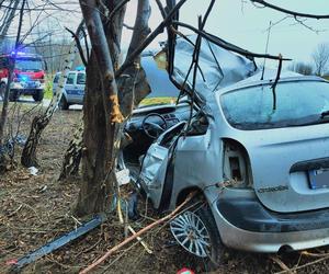 Tragiczny wypadek w Zrąbie w pow. zamojskim. Auto roztrzaskało się na drzewie