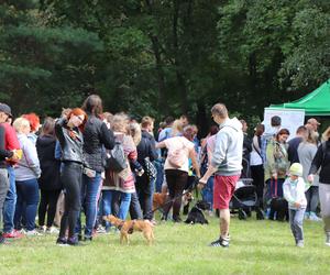 IX Piknik Przyjaciół Schroniska w Toruniu