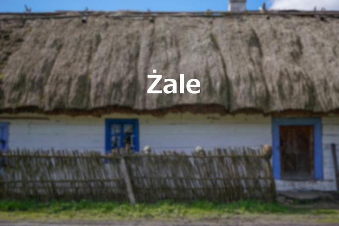 Żale