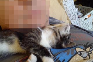 Jacek nagle zjechał z drogi i uderzył w drzewo. Policja bada przyczyny śmiertelnego wypadku w Bławatach