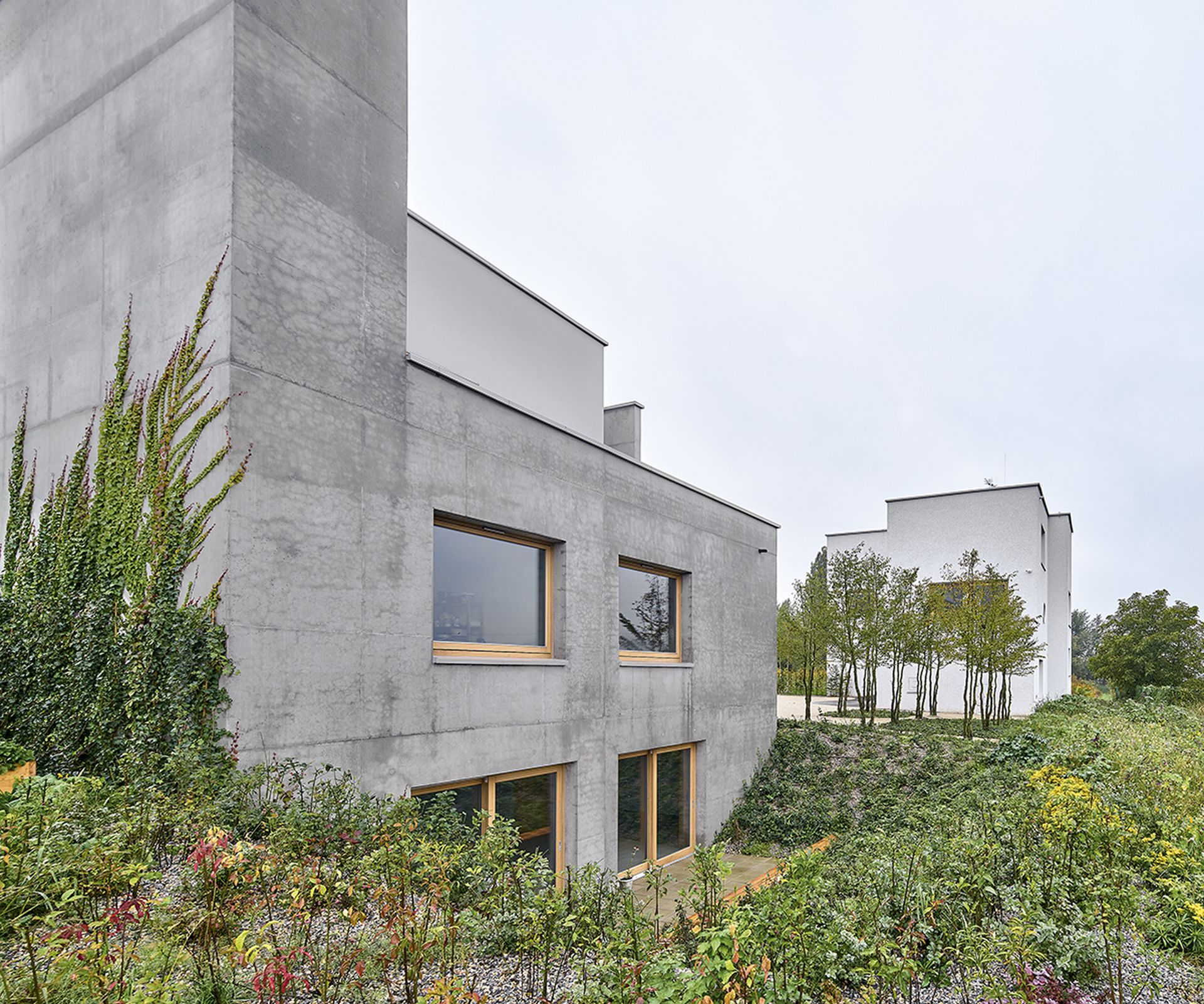 Dom i pracownia artystów w Krakowie  