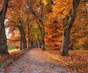 Pogoda w Polsce październik 2022 - jak będzie? Czy przyjdzie zima? [PROGNOZA]