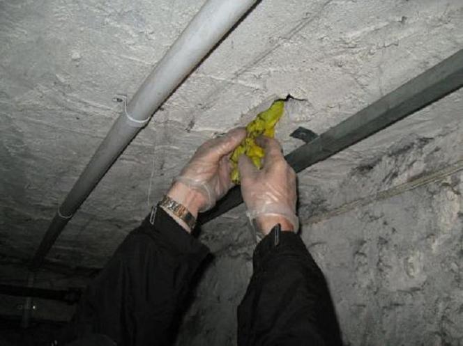 Katowice: Dilerzy ukrywali amfetaminę w stropie piwnicy