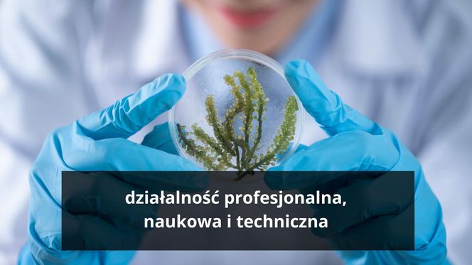 Działalność profesjonalna, naukowa i techniczna  