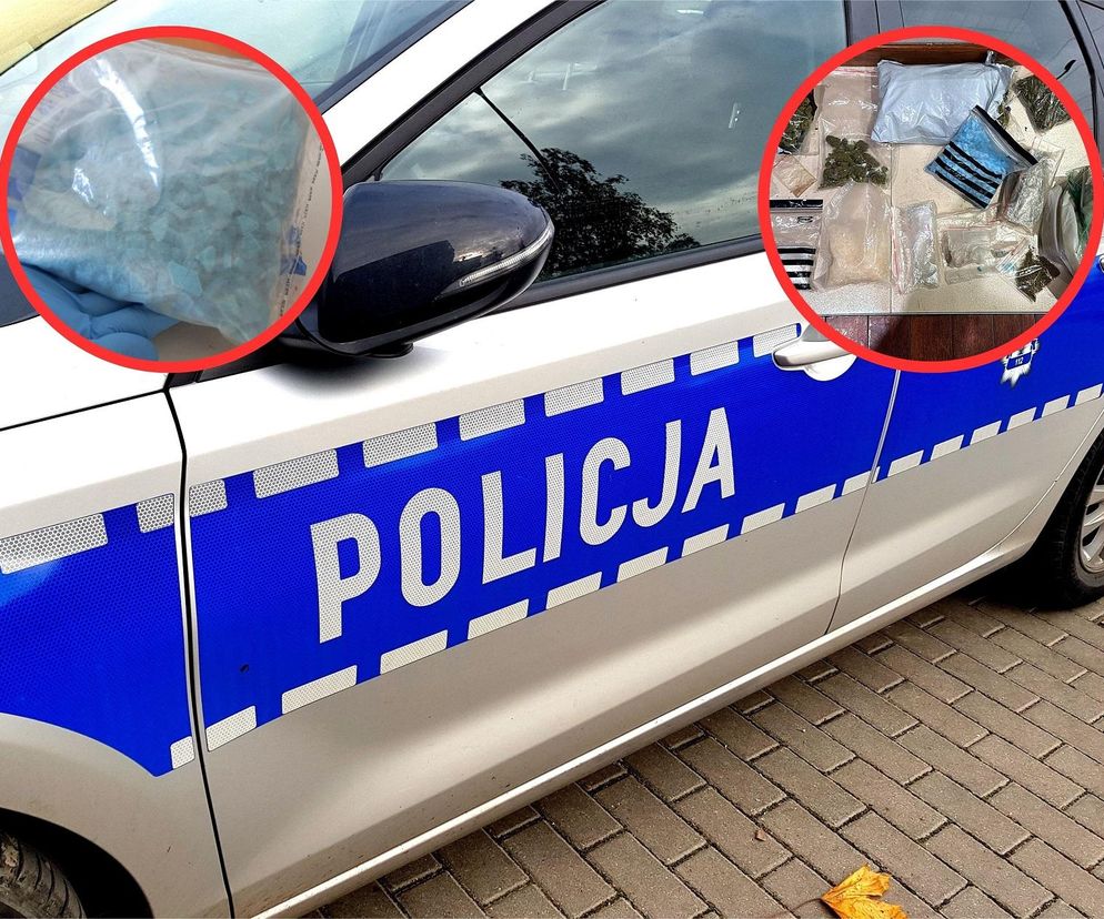 Policyjny nalot na mieszkanie w Toruniu. Zatrzymali 24-latka, znaleźli narkotyki