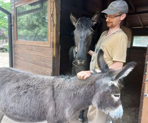 Mini ZOO w Lesznie ma nowych mieszkańców. To owce, konie i osioł