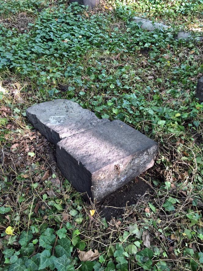 Skandal! Wandale zniszczyli zabytkowy cmentarz żydowski w Zabrzu. "To chamski akt głupoty!"