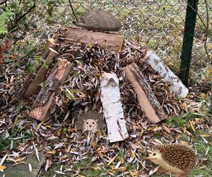 Nowe życie Daniela Martyniuka. Szok, co udostępnił w sieci