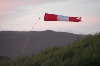 Silny wiatr na Podkarpaciu. Kilkadziesiąt interwencji strażaków!