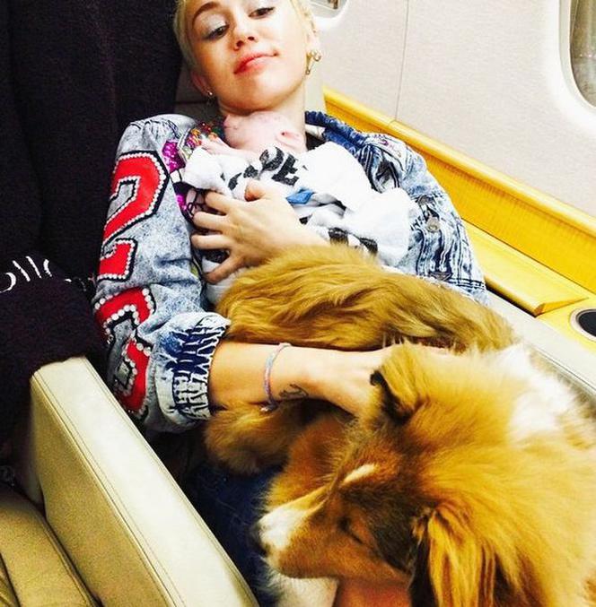 Miley Cyrus i jej ukochana świnia