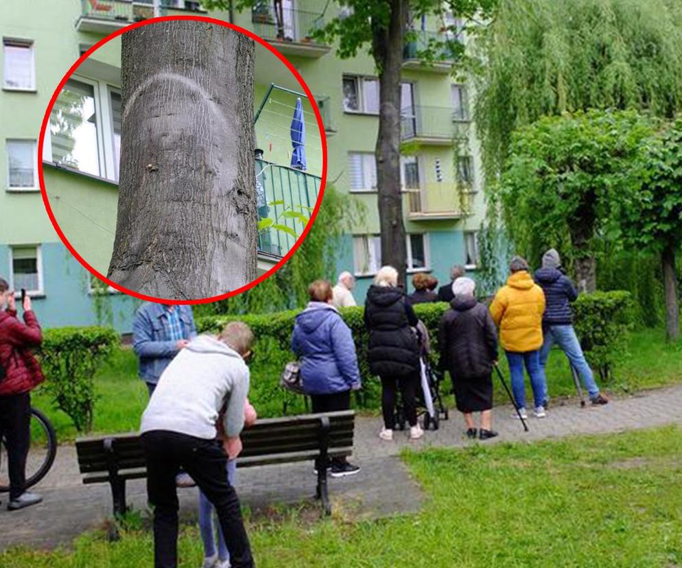 Jezusa z Parczewa ciągle widać. Nadal jest miejscem kultu? Może ktoś powinien to wyjaśnić