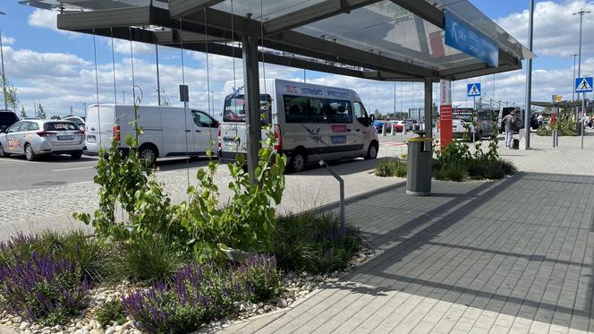 Zazieleniony teren parkingu i pasażu przed terminalami Katowice Airport