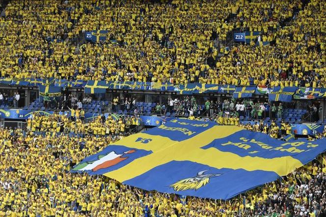 Szwecja, kibice, flaga