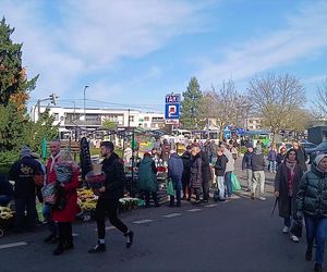 1 listopada na Cmentarzu Centralnym w Szczecinie