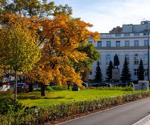 Plac Trzech Krzyży w Warszawie po modernizacji, listopad 2023