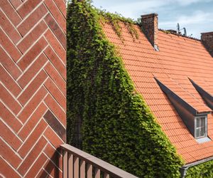 Bernardyńska Wrocław 10