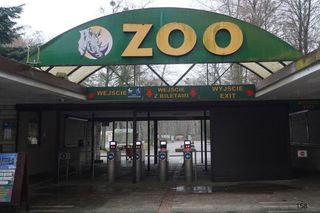 Sytuacja słoni w poznańskim zoo. Była dyrektorka apeluje