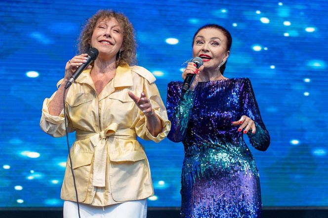 Tak wyglądał festiwal Vistula Sounds