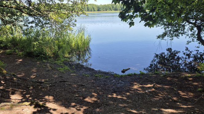 To jedno z największych jezior w Olsztynie. Kusi turystów piaszczystymi plażami