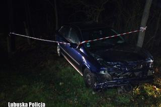Lubuskie: Kompletnie pijany kierowca przewoził trójkę dzieci i spowodował wypadek