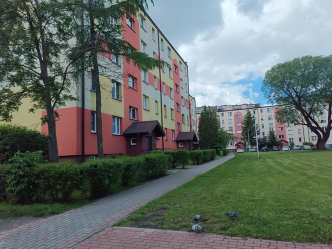 Chciała zarobić, a została bez środków do życia