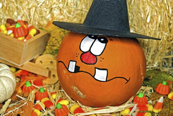 dynia na halloween
