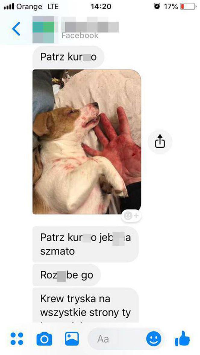 Rzuciła go dziewczyna, więc brutalnie skatował psa. "Patrz kur*o jeb**a szmato, krew tryska na wszystkie strony" [DRASTYCZNE ZDJĘCIA]