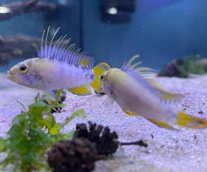 Rozmawiamy z Tomaszem Wiśniewskim, założycielem Aqua Dreams Bydgoszcz