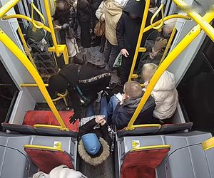 Szokujące sceny z tramwaju w Warszawie. Opublikowano właśnie nagranie. „Trzymaj się mocno”