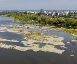 Wisła wysycha. Tak źle nie było nigdy w historii. Zdjęcia z lotu ptaka obrazują skalę suszy