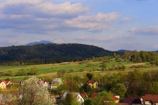 Jeleśnia
